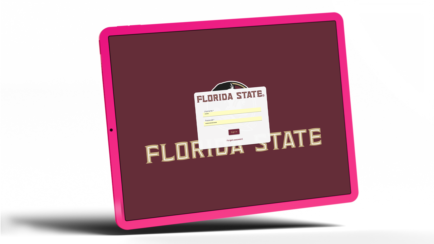 2-FSU-Login