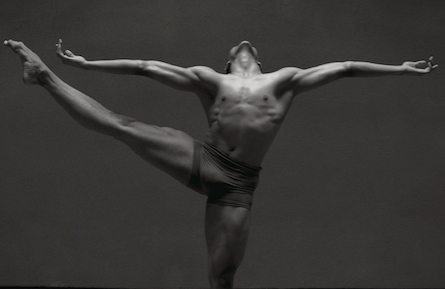 Alvin-Ailey-DAM-Case-study-1