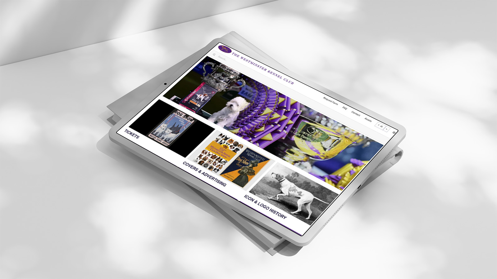 Brand asset management portal connected to a digital asset management system