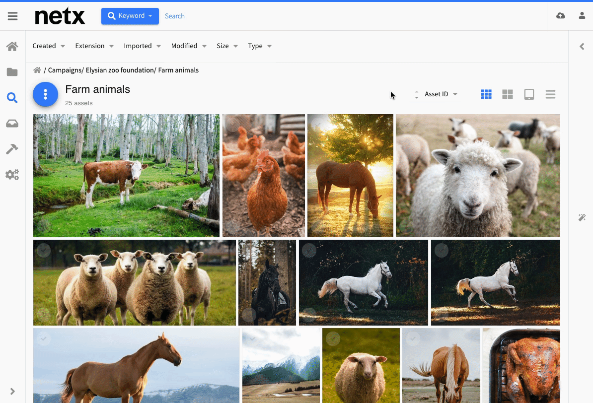 DAM - Share images