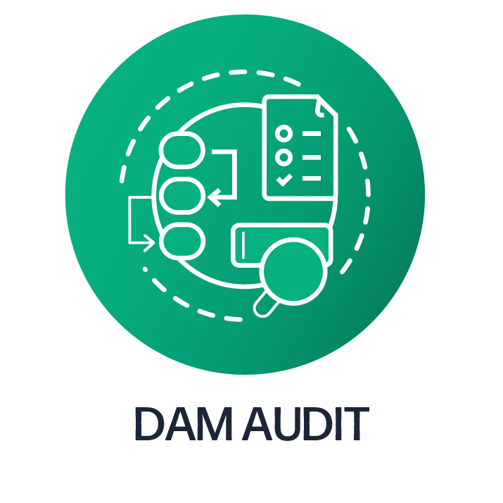 DAM Audit