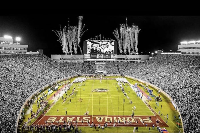 HIGHER-EDUCATION-Dam Spirit-Stadium