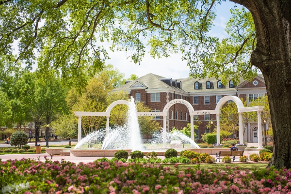 Harding_fountain_spring-1
