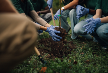 Nonprofit volunteers planting trees, representing mission-driven content used in digital asset management for nonprofits