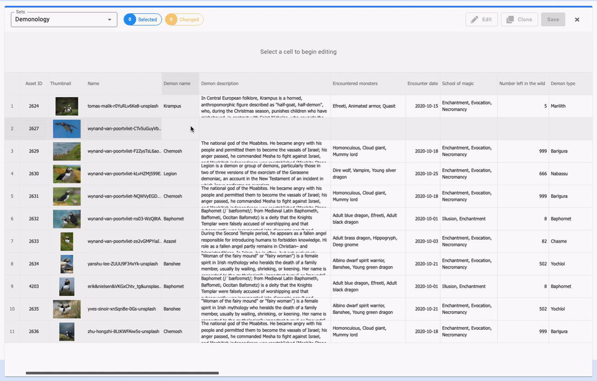GIF showing metadata being edited in a grid view, representing a digital asset library for searchable travel and tourism brand assets