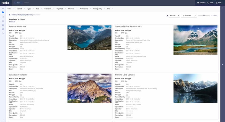 digital asset management