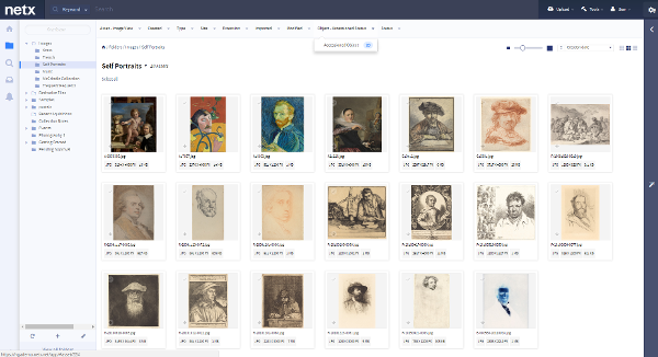 NetX_Gallery-1