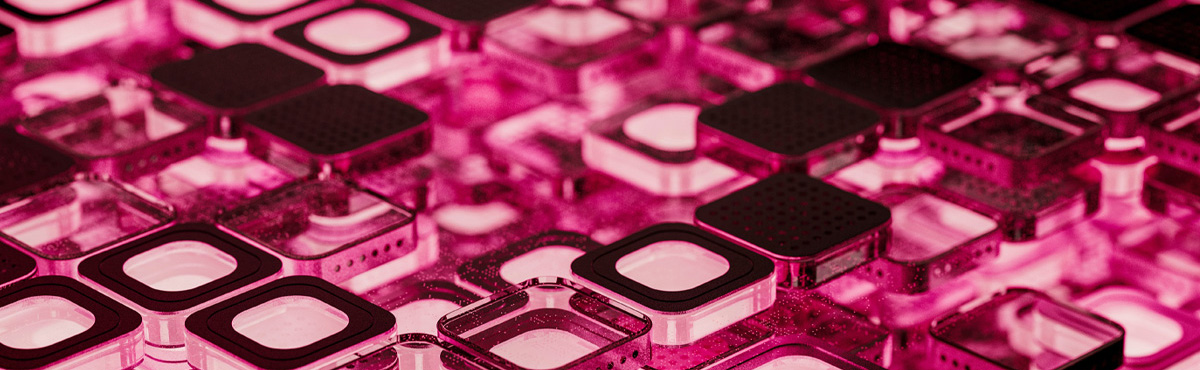 NetX-Tools für künstliche Intelligenz zur Verbesserung der Suche in DAM-Software, der Metadaten-Kennzeichnung und der Content-Workflows