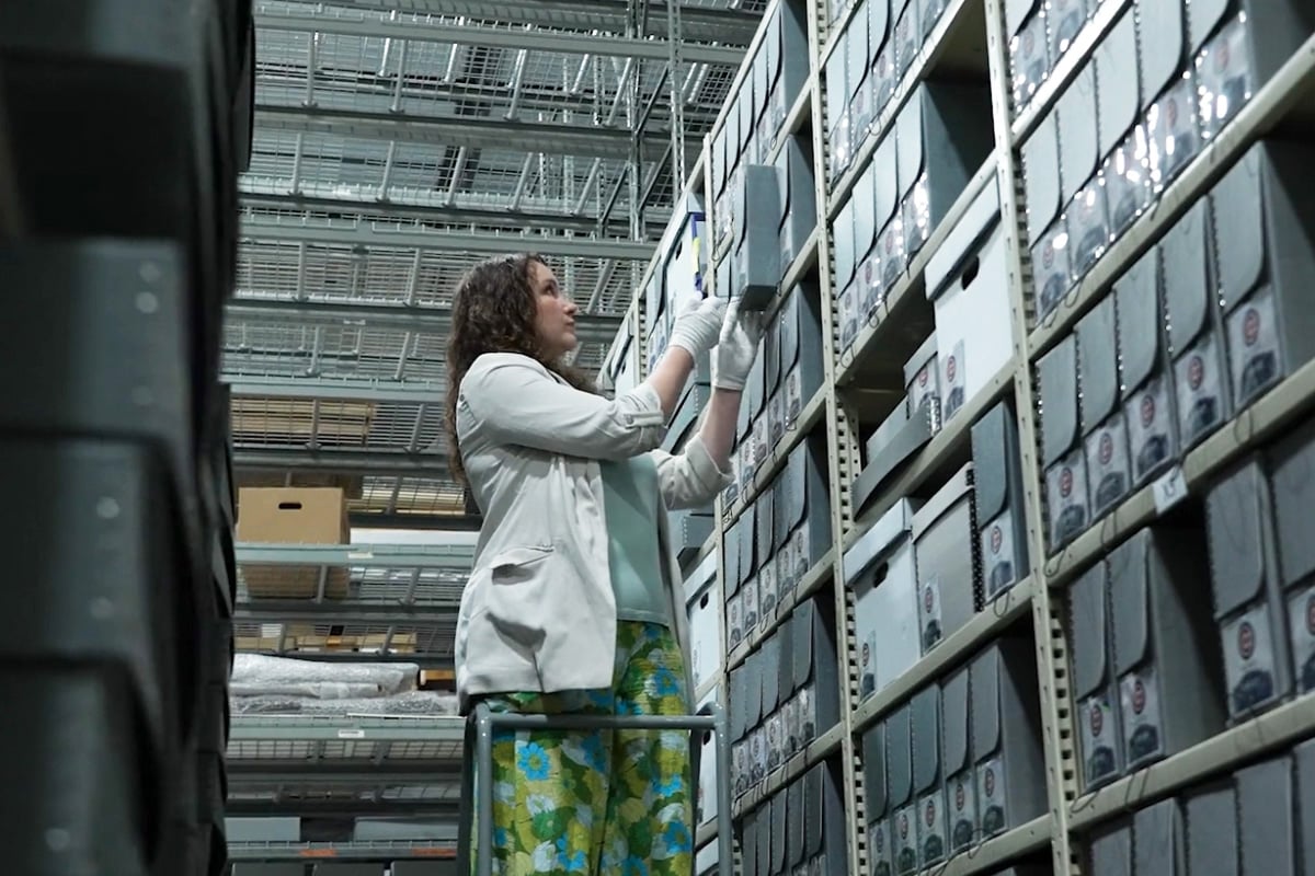 Digital asset management system supporting content governance, licensing visibility and rights management workflows