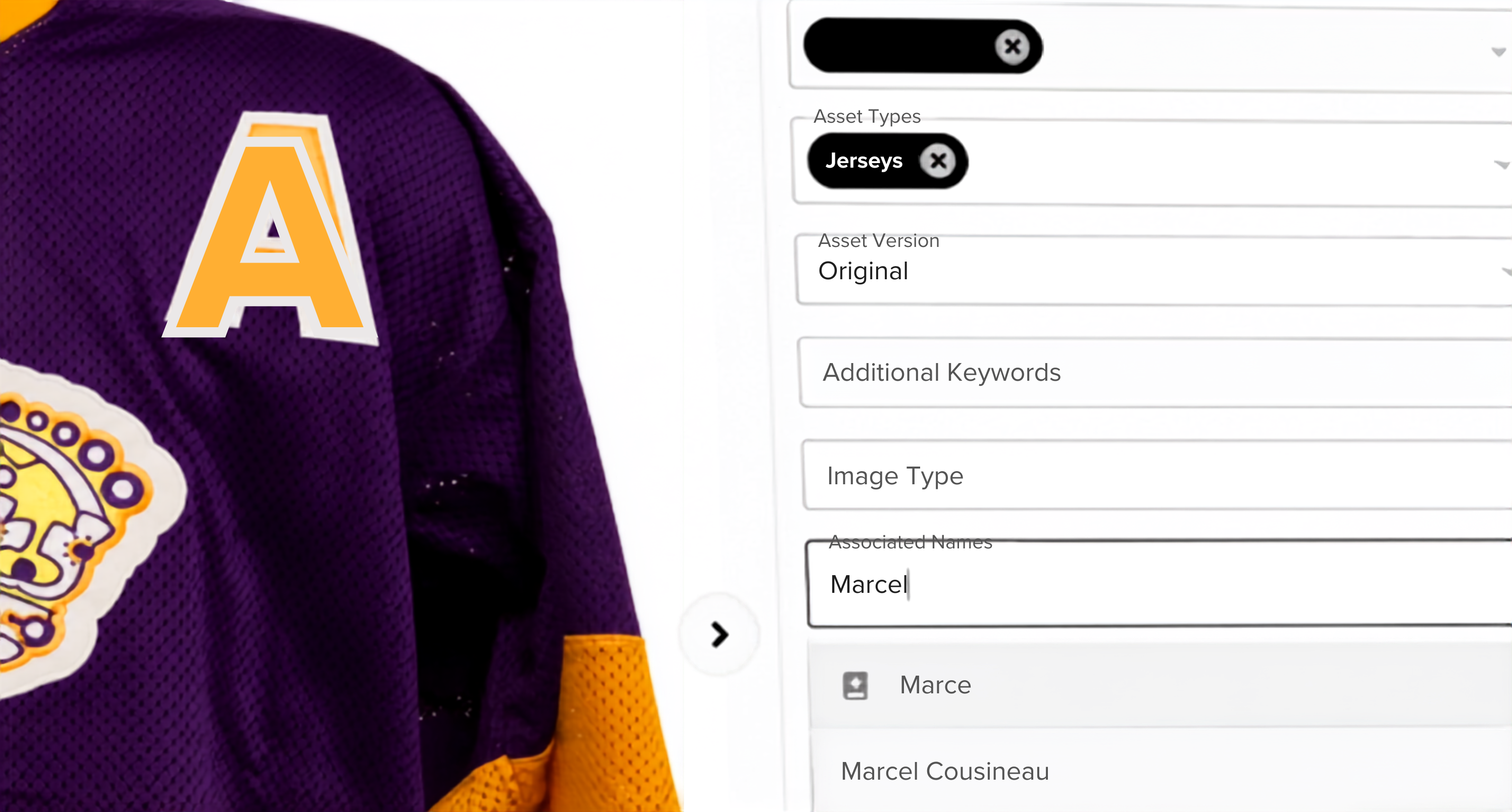 NetX asset metadata fields showing how image asset management software helps teams connect fashion photos to asset types, versions, keywords and associated names