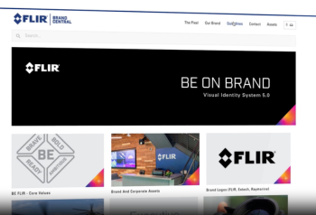 Brand guideline portal representing nonprofit digital asset management for approved logos, templates and brand consistency