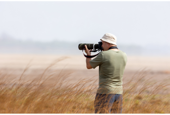 Photographer using a telephoto lens in an open field