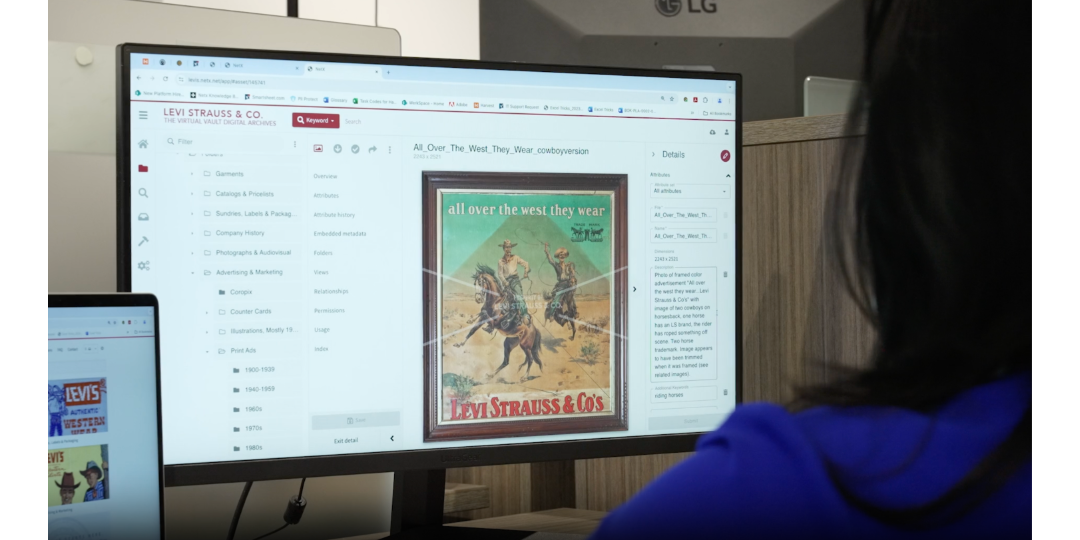 Team member reviewing an organized digital asset library in NetX DAM