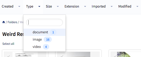 NetX digital asset management interface showing a file type filter with document, image, and video categories and asset counts.