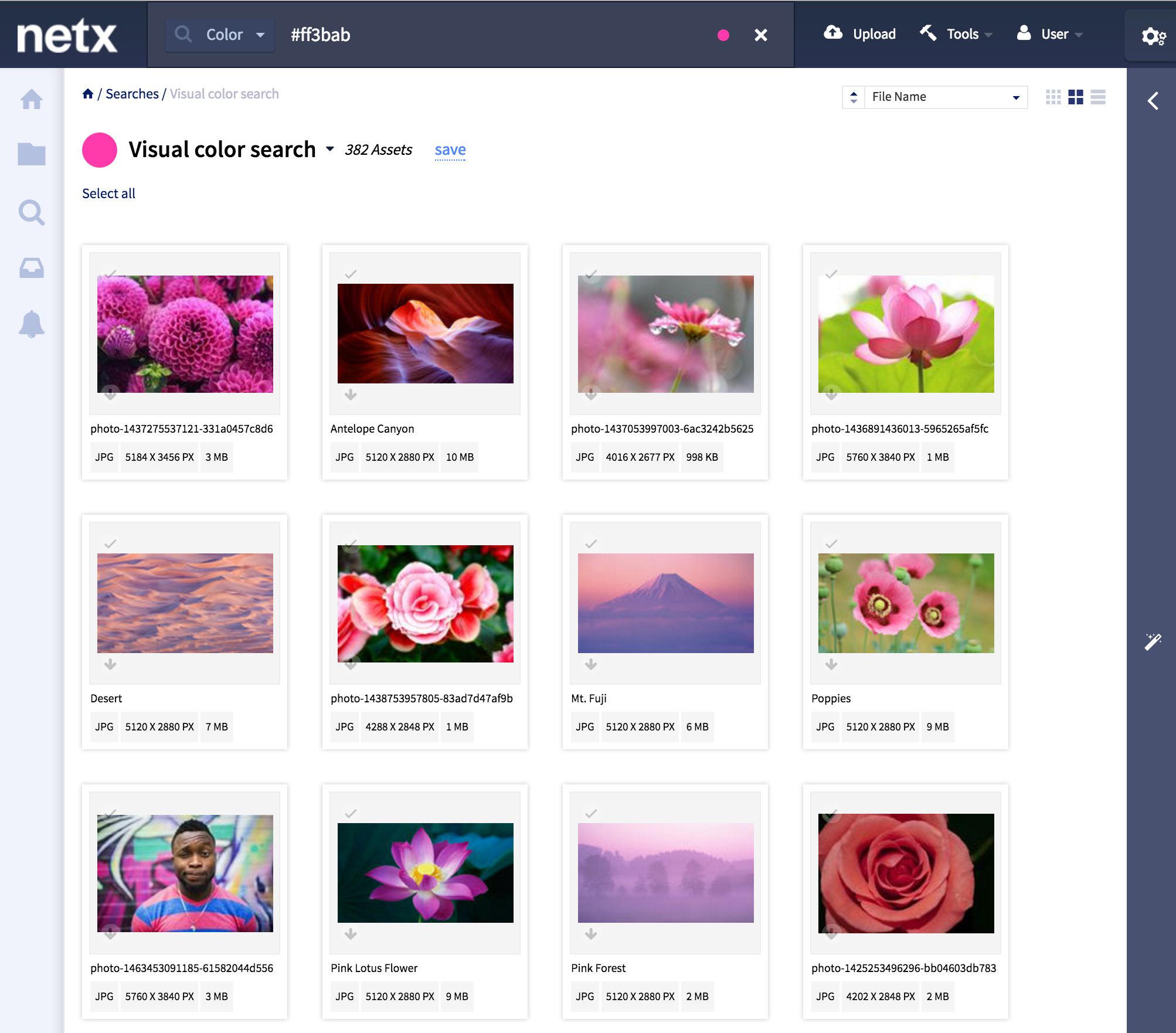 NetX digital asset management interface showing visual color search results with pink flowers, landscapes, and other matching images.